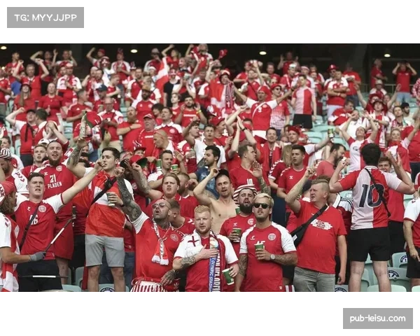 阿森纳轮换空间充足 仅两人伤停保障多线作战体能 阿森纳轮换空间充足 仅两人伤停保障多线作战体能